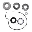 Vertex Gaskets 2018 Arctic Cat Noresman 3000 EFI Water Pump Rebuild Kit For Cheap